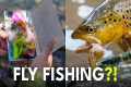 Why Streamer Fly Fishing Feels So