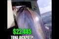 $22,445 Tuna Jackpotl! Captain