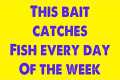 This bait catches fish every day of