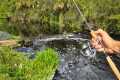 Fishing TINY Everglades spillways