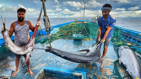 WOW! The Fifth Day We Stayed In The Deep Sea And Caught A Lot Of Big Fishes | Day-05 | S07-EP05