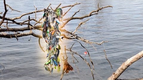  Hundreds of Dollars Worth of Fishing Lures Found Every Year! How-to