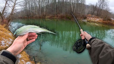Fly Fishing With HUGE Streamers for Musky! || 4 Days of Action - Musky Hunt Ep 8