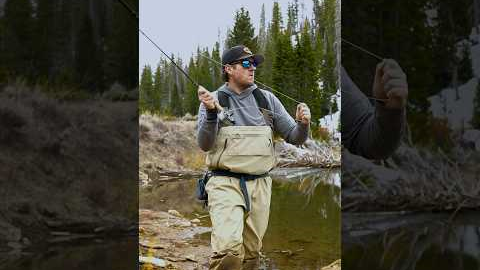 New to Fly Fishing? Here’s Why The Fish Aren’t Biting