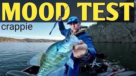 “If They Won’t Bite… This Rig Test NEVER Fails”