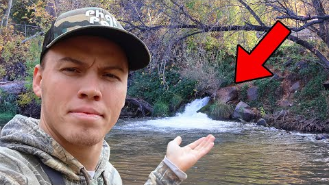 I Found A Honey Hole In The Middle Of The Forest...