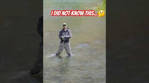 I Didn't Know This Fly Fishing Tip! 😀😄😁 #fishing #flyfishing #tips
