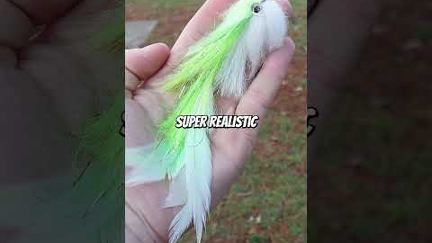 Fly fishing is better than conventional tackle?!?!? #fishing #shorts #flyfishing #bassfishing