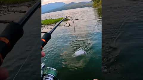 Extreme Giant Snakehead Fishing!!!