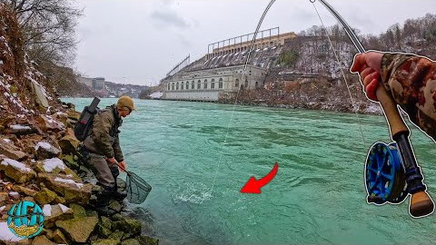 Is This One of the Rarest Fish In New York? - Fly Fishing for HUGE Trout! (Lakers Pt 1)