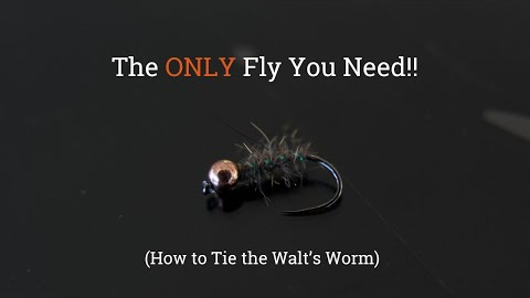The ONLY Trout Fly You Need - How to Tie the Walt's Worm