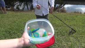The Biodegradable Fishing Lure Test 1