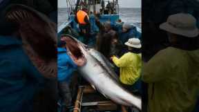 After This Fishermen Couldn't Sleep! 🤯🎣