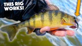 Fishing With Ultralight Gear In COLD WEATHER!