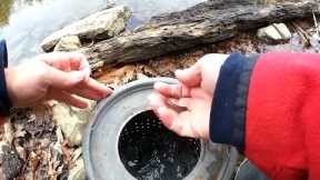 I Tried Fishing With Live MINNOWS and This Is What Happened