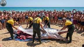 Deep Sea Fishing in a Storm: The Longline Swordfish Haul That Broke the Crew