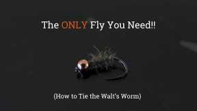 The ONLY Trout Fly You Need - How to Tie the Walt's Worm