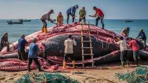 Ocean Giants 🐋 How Fishermen Catch Giant Tuna in European Seas – Deep Sea Documentary