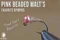 Fly Tying - Pink Beaded Walt's Worm - 