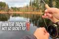 The BEST Fly for Fly Fishing Trout in 