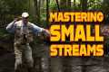 Mastering Small Stream Fly Fishing