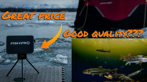 Underwater Fish Camera: Cool Gadget or Total Gimmick?