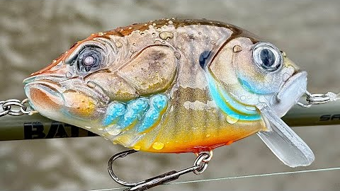 Conjoined Species Fishing Lure