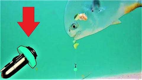 World's first SURF FISHING RIG CAMERA captures STUNNING NEVER before seen FOOTAGE!