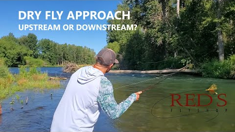Are You Casting a Dry Fly Correctly? // Upstream vs. Downstream Casting Strategies