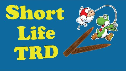 Making Soft Plastic Fishing Lures Worm Stick  DIY Bait for Bass BUGMOLDS