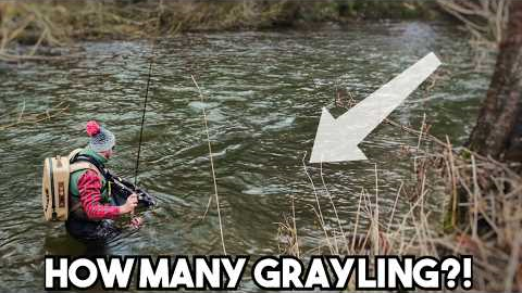 Grayling Fly Fishing CHALLENGE!