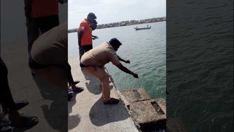 Suddenly a Expensive Big Fish Catch in Handline #fishing #fishingvideos #thoondilulagam #seafishing