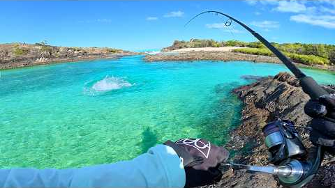 Finally a CATCH AND COOK!