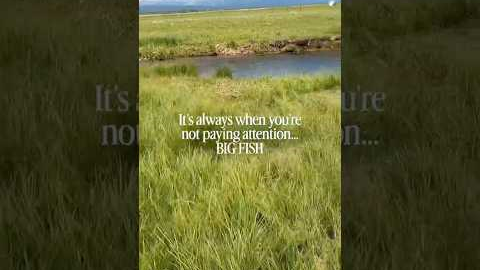 Why Does This Always Happen | Fly Fishing Mistakes