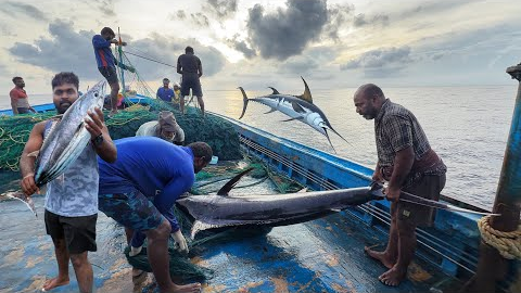 OMG!! The Eighth Day We Stayed In The Deep Sea And Caught A Lot Of Big Fishes | Day-08 | S07-EP08