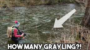 Grayling Fly Fishing CHALLENGE!