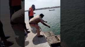 Suddenly a Expensive Big Fish Catch in Handline #fishing #fishingvideos #thoondilulagam #seafishing