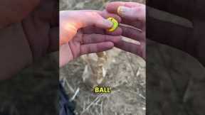 Fishing for Trout with Powerbait! Have you tried this?