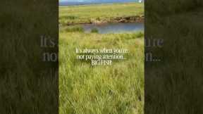 Why Does This Always Happen | Fly Fishing Mistakes