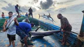 OMG!! The Eighth Day We Stayed In The Deep Sea And Caught A Lot Of Big Fishes | Day-08 | S07-EP08