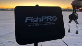NEW 2026 FishPRO Underwater Fishing Camera Review - Ice Fishing Clear Water for Salmon