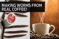 Making Worms from Real Coffee - Bass