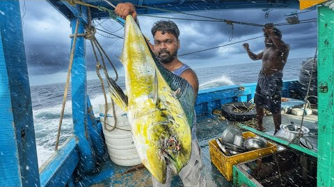 Day-01 | First Day Living in the Deep Sea | Cooking, Sleeping & Tuna Fishing Adventure