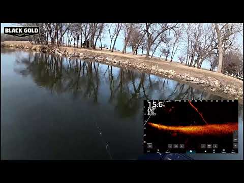 Fishing Swimbaits For Big Bass (Zaldaingerous Live)