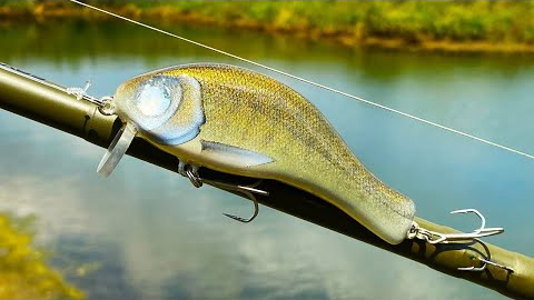 HumpBack WakeBait | One Day Build to Catch