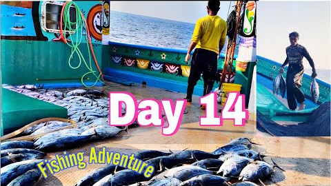 Big Fish Catch After a Tough Day! | Day 14 at Sea | S01-EP14 | Pakistani Ocean Series 🎣