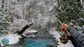A Week of Fly Fishing for Trout in Record Breaking Cold!!