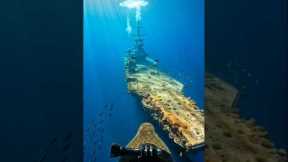 We Attached a Camera to a Fish… and Found a Military Ship!