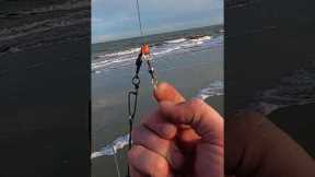 SURF FISHING TIP: Leader Line Vs Main Line Weight #beginner #surffishing #fishing #heavy #beach