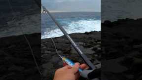 Shore jigging setup Shimano Coltsniper Xtune paired with a Saragosa 40lb braid, 80lb leader, 80g jig